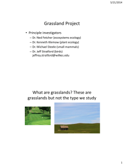 Grassland Project