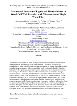Paper 3 - Society of Wood Science and Technology