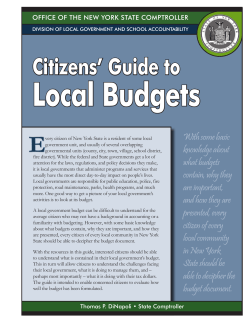 Citizens` Guide to Local Budgets - Office of the State Comptroller