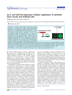 An E. coli Cell-Free Expression Toolbox