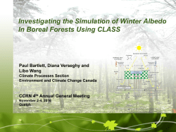Investigating the simulation of winter albedo in boreal forests using