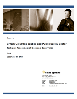 Technical Assessment of Electronic Supervision