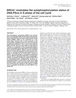 BRCA1 modulates the autophosphorylation status of DNA