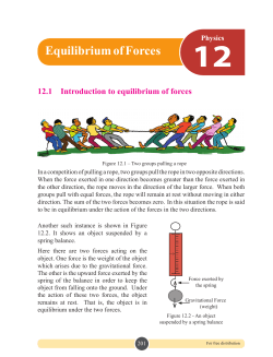 Equilibrium of Forces - e