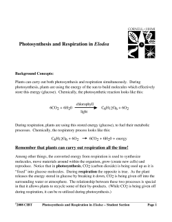 Photosynthesis and Respiration in Elodea