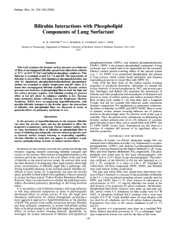 Bilirubin Interactions with Phospholipid Components of