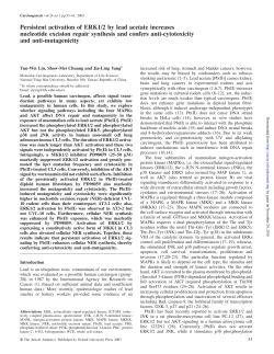 Persistent activation of ERK1/2 by lead acetate increases nucleotide