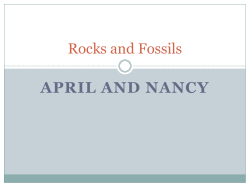 Rocks and Fossils - Faculty Web Pages