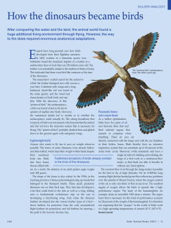 How the dinosaurs became birds