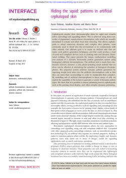 Hiding the squid: patterns in artificial cephalopod skin