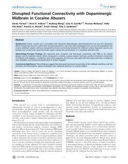 Disrupted Functional Connectivity with Dopaminergic Midbrain in