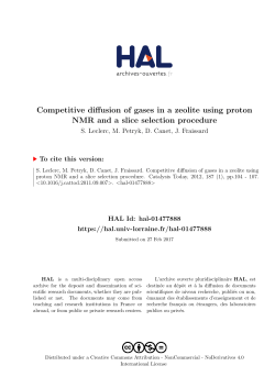 Competitive diffusion of gases in a zeolite using proton - espci