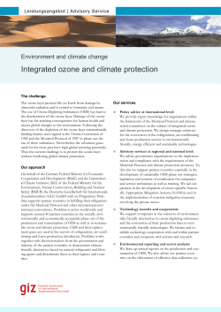 Integrated ozone and climate protection