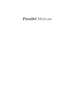 Parallel Matlab