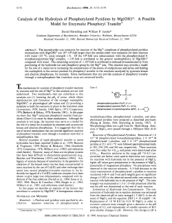 Catalysis of the Hydrolysis of Phosphorylated Pyridines by Mg(OH)+: