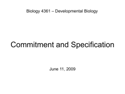 Commitment and Specification