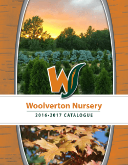2016_2017 Catalogue