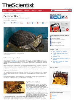 Behavior Brief | The Scientist Magazine&reg;