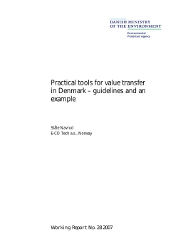 Practical tools for value transfer in Denmark &ndash; guidelines and an