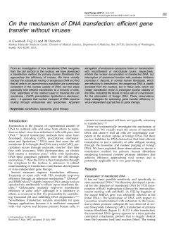 On the mechanism of DNA transfection: efficient gene