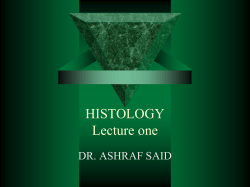 HISTOLOGY Lecture one