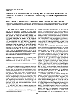 Isolation of a Tobacco cDNA Encoding Sar1 GTPase and Analysis of