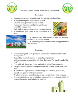 Follow a corn kernel from field to Market