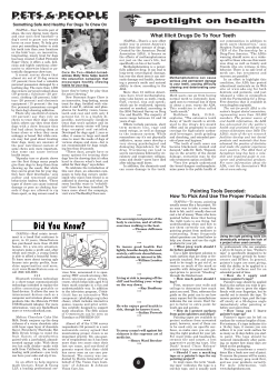 Something Safe And Healthy For Dogs To Chew On