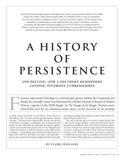 a history of persistence - The Forest History Society