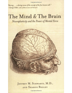 The Mind and the Brain
