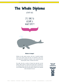 The Whale Diploma - Whale and Dolphin Conservation