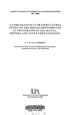a comparative ultrastructural study of the megagametophytes in two