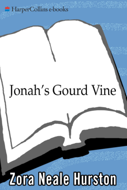 Jonah`s Gourd Vine : A Novel