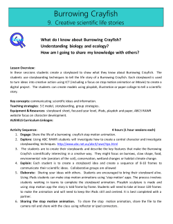 Burrowing Crayfish - Nature Glenelg Trust