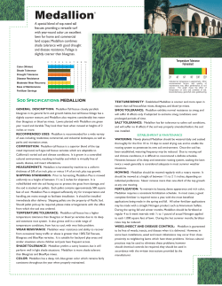 Medallion Tall Fescue