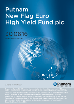 English - New Flag Semi-Annual Report