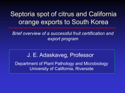 Septoria and exports to South Korea