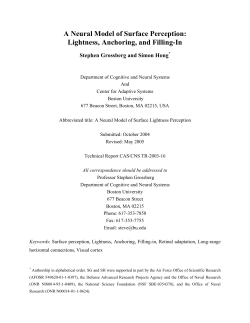 Lightness, Anchoring, and Filling-In