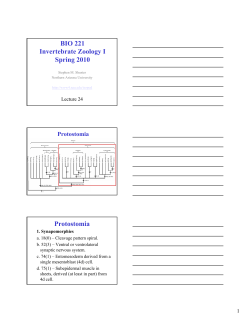 Lecture 24 - Northern Arizona University