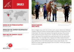 case studies - TED Page Builder