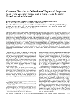 Pommerrenig, B., Barth, I., Niedermeier, M., Koop, S., Schmid, J