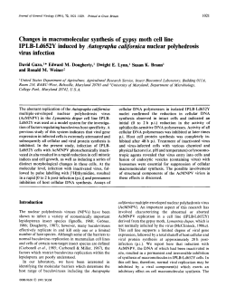Changes in macromolecular synthesis of gypsy moth cell line IPLB