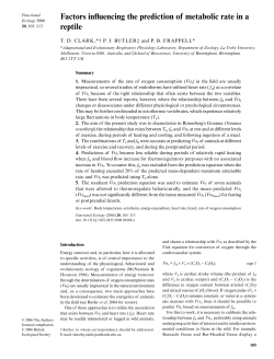 Factors influencing the prediction of metabolic rate in a reptile