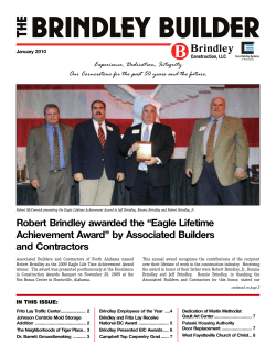 Brindley Builder, January 2010
