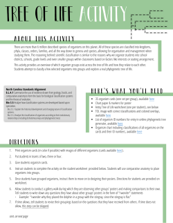 There are more than 6 million described species of organisms on