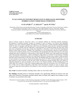 Evaluation of stem rot resistance in Jerusalem artichoke