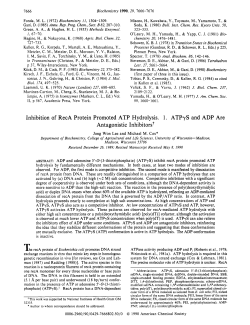 Inhibition of RecA protein promoted ATP hydrolysis. 1. ATP. gamma