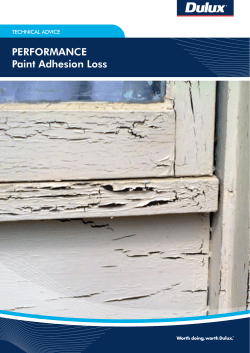 PERFORMANCE Paint Adhesion Loss