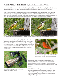 Flash Part 2: Fill Flash By Tom Stephenson and Scott Whittle