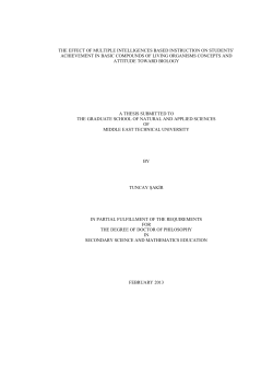 as a PDF